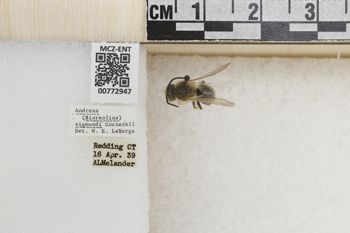 Media type: image;   Entomology 772947 Aspect: Labels